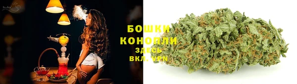 ALPHA PVP Белокуриха