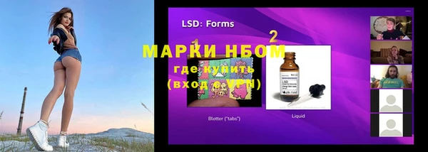 прущая мука Губаха
