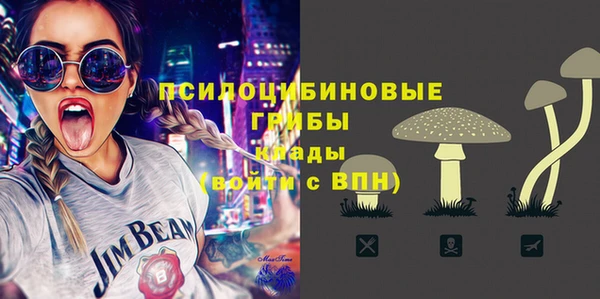 ALPHA PVP Белокуриха