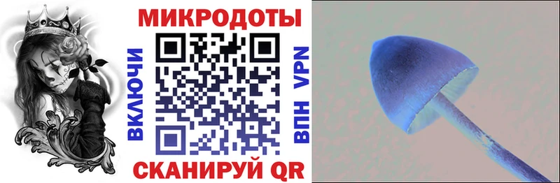 Псилоцибиновые грибы прущие грибы  Короча 